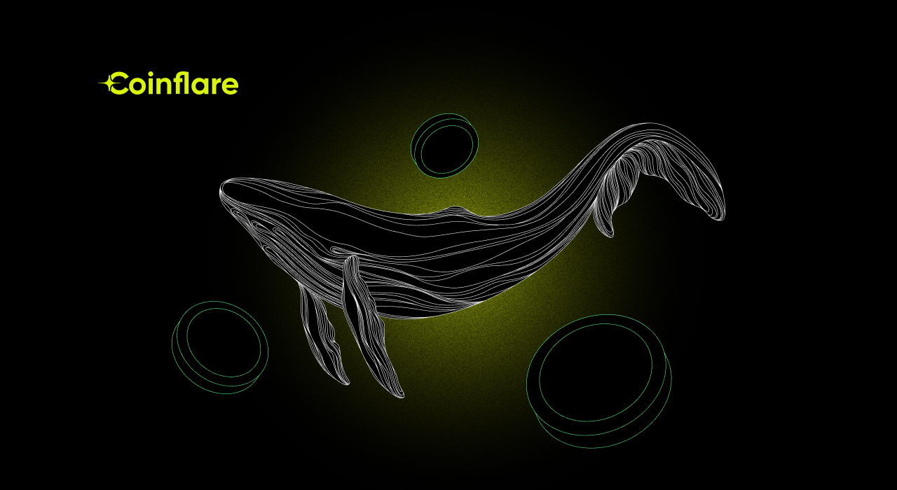 What Are Crypto Whales And How Can You Spot Them? | COINFLARE
